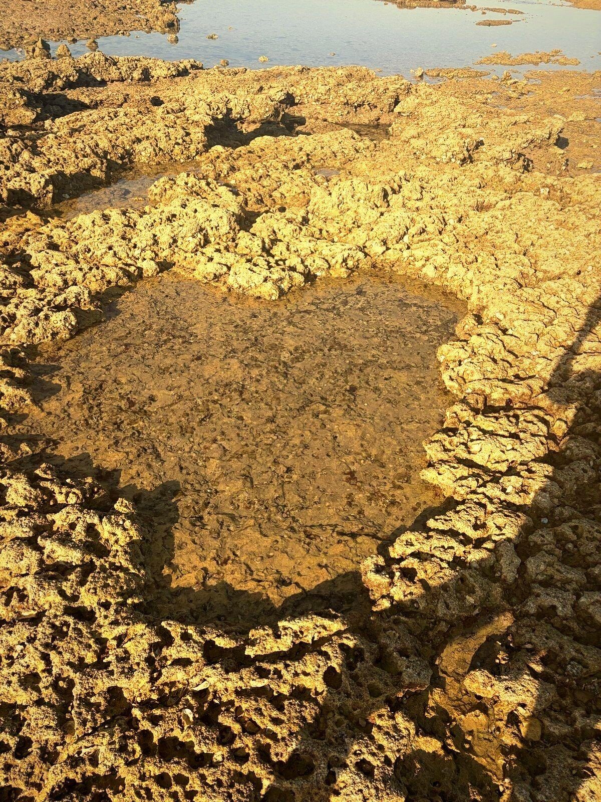 Flaque en forme de cœur au creux des rochers